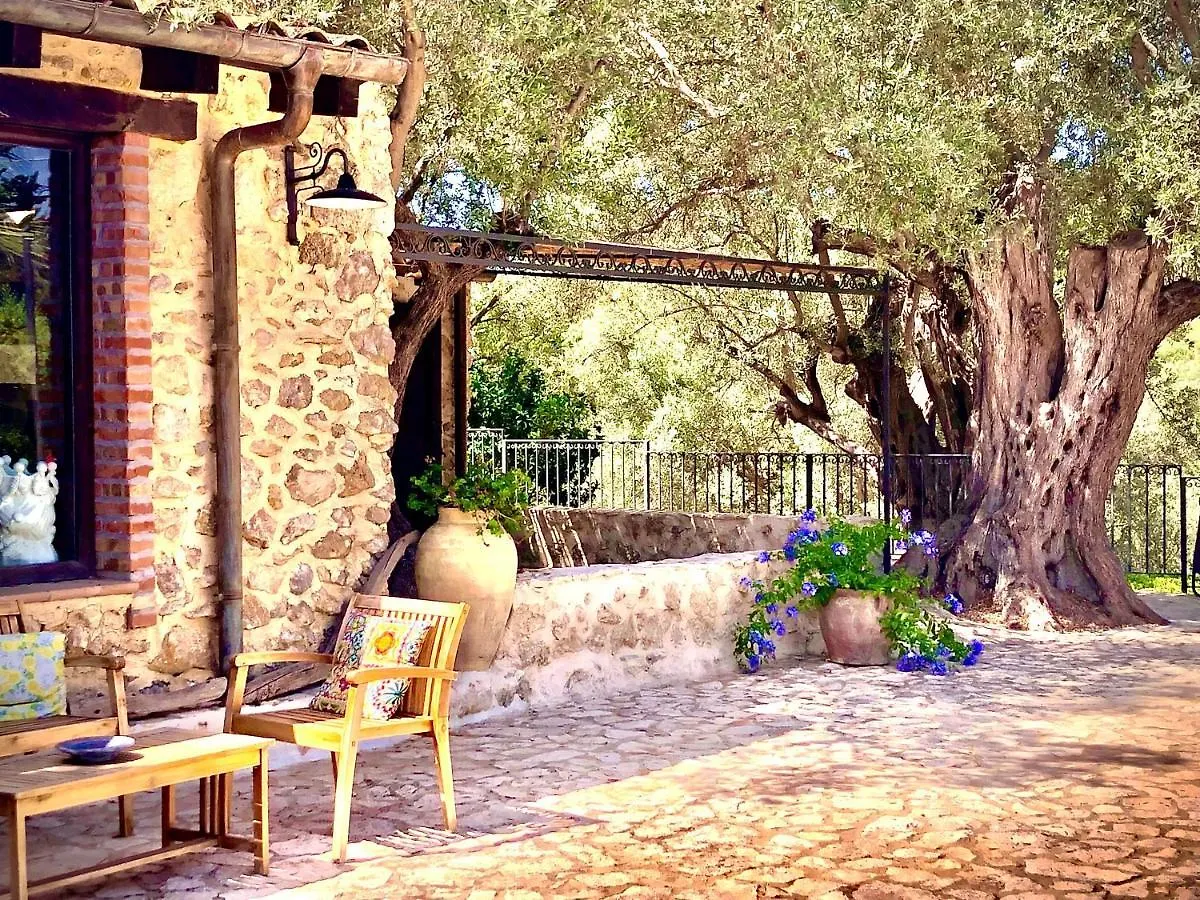 Séjour à la ferme Villa Agriturismo Roba Degli Ulivi à Agrigente Italie